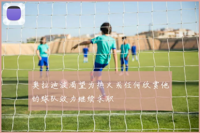 奥拉迪波渴望为热火或任何欣赏他的球队效力继续求职
