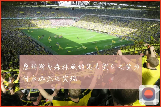 詹姆斯与森林狼的完美契合之梦为何永远无法实现
